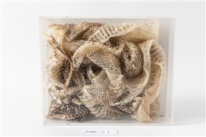 Image description is not available for 2002.1.1